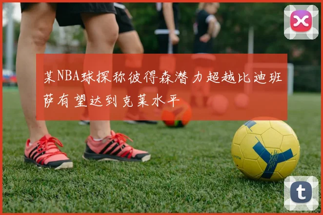 某NBA球探称彼得森潜力超越比迪班萨有望达到克莱水平