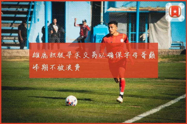 雄鹿积极寻求交易以确保字母哥巅峰期不被浪费